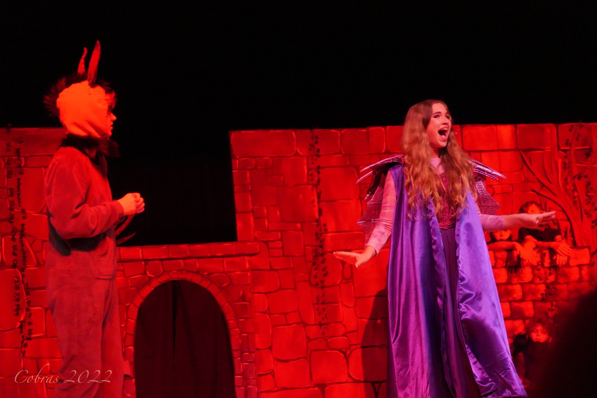 DSC08844